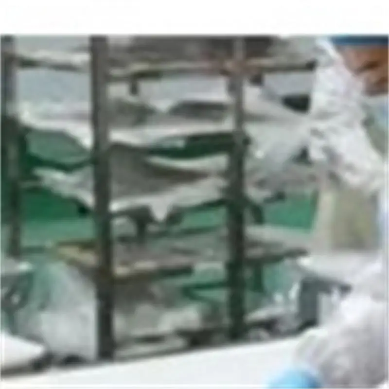 JZ Automatic Meat Slicing Machine Stainless Steel Beef Pork Slicer for Food Plant