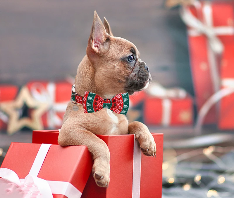 Unique Style Paws Personlized Christmas Dog Collar with Bow Green Red Dog Collar Flower Dog Collar Large Medium Small Dog