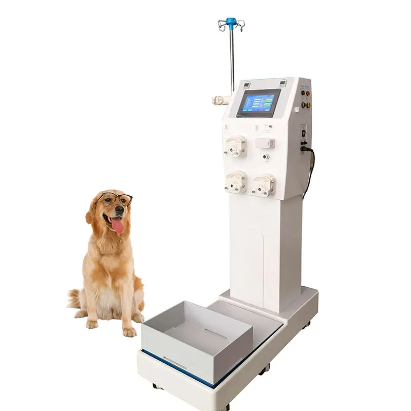 Portable Veterinary Blood Dialyzer Animal Hemodialysis Machine Price