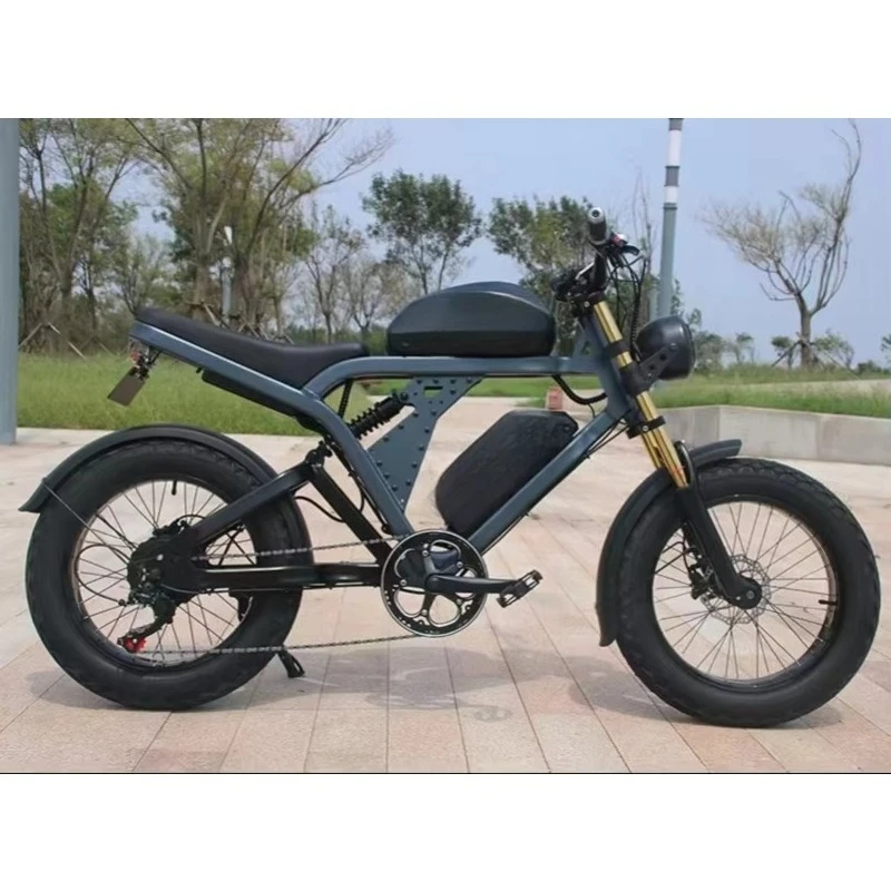 WWQ Super US European Union warehouse ebike rear frame 1000w 1500w bicycle electric car