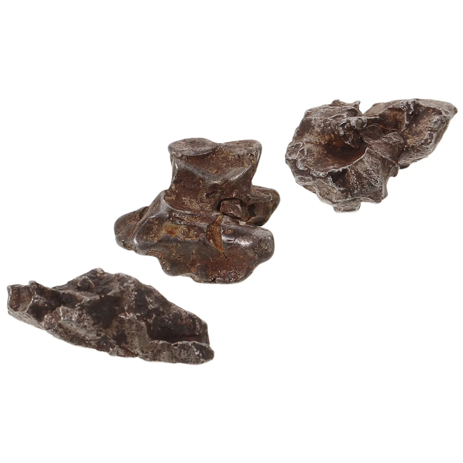 Meteorite Specimen Sample for Classroom Decor Educational Scientific Decoration