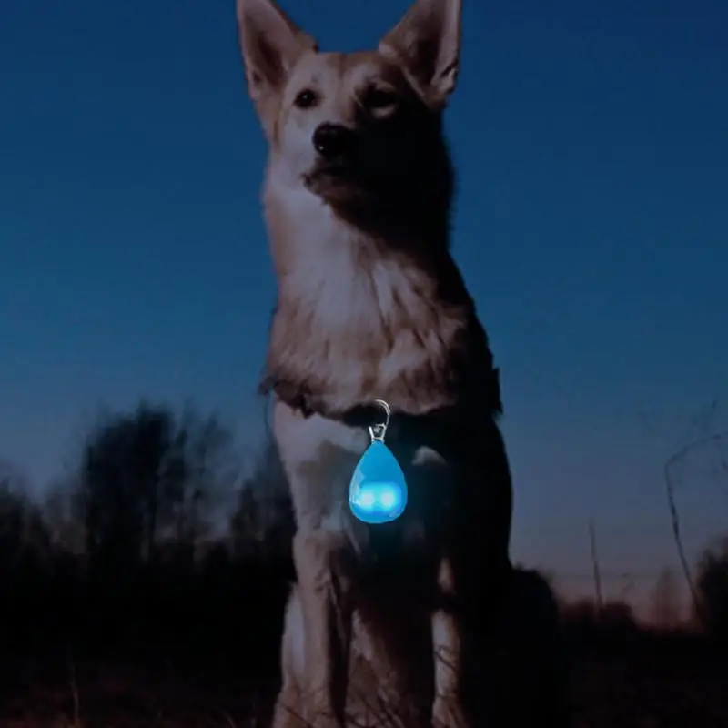 LED Dog Collar Light USB Night Dog Walking Flash Pet Supplies For Night Walking 4 Colors To Choose Blue Red Green Purple