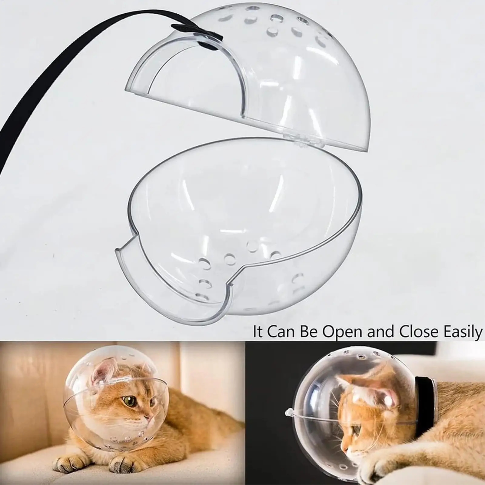 #16 Pet Muzzles List of Top Picks