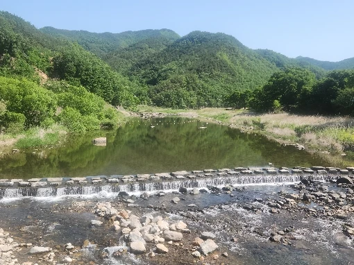 구매후기
