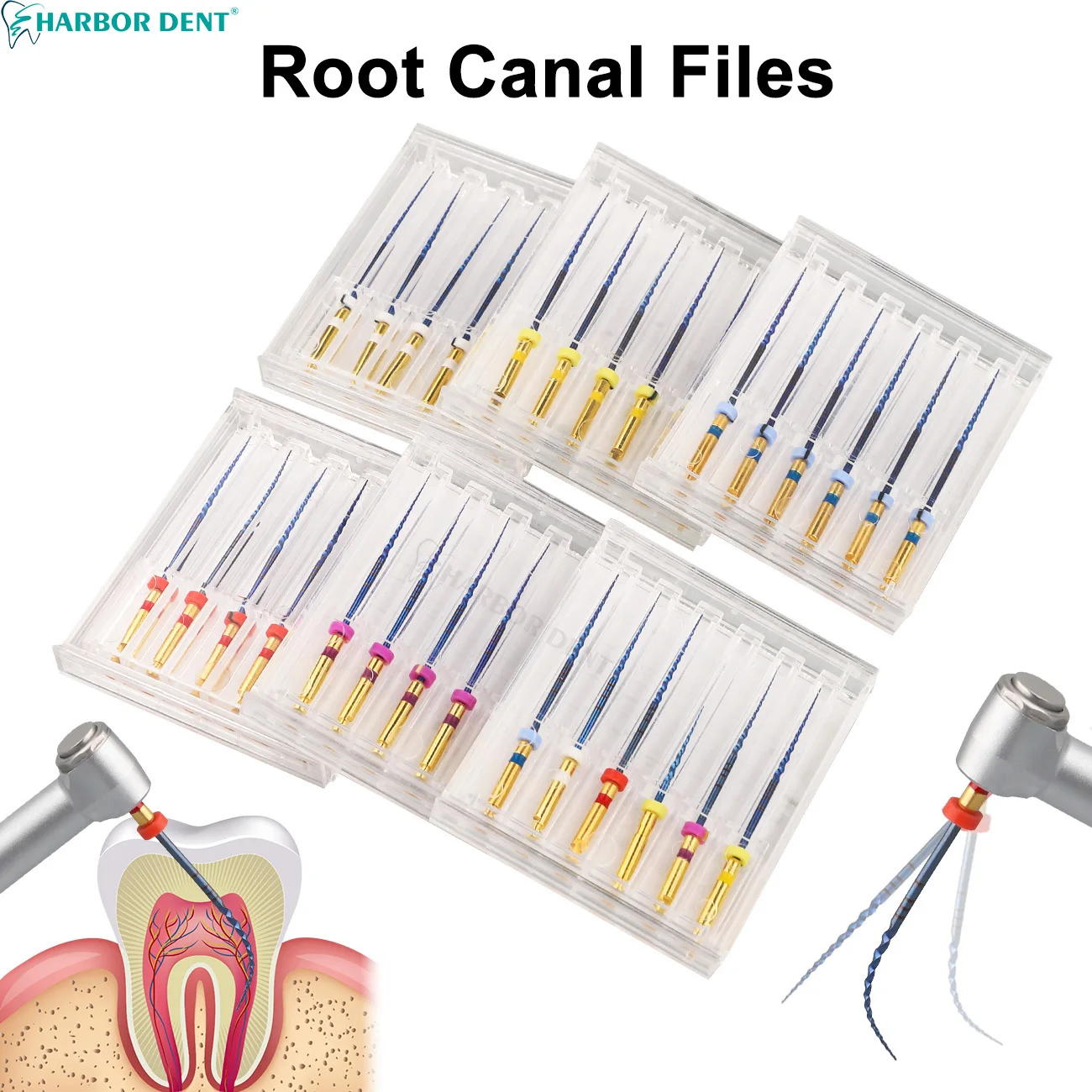 31mm Dental NiTi Super Files  Gold Heat Activation Endodontic Root Canal Files Dentistry Instrument 6Pcs/Box