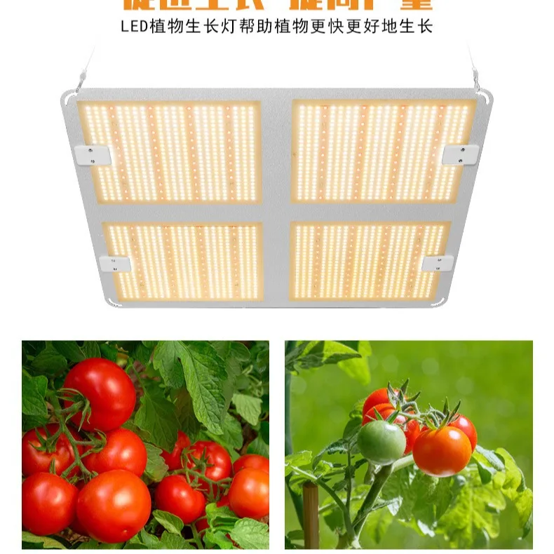 5000 واط الكم مجلس LED تنمو ضوء فيتو مصباح الطيف الكامل LED النباتات لمبة داخلي 4000 واط Phytolamp لزهرة الشتلات Fitolamp