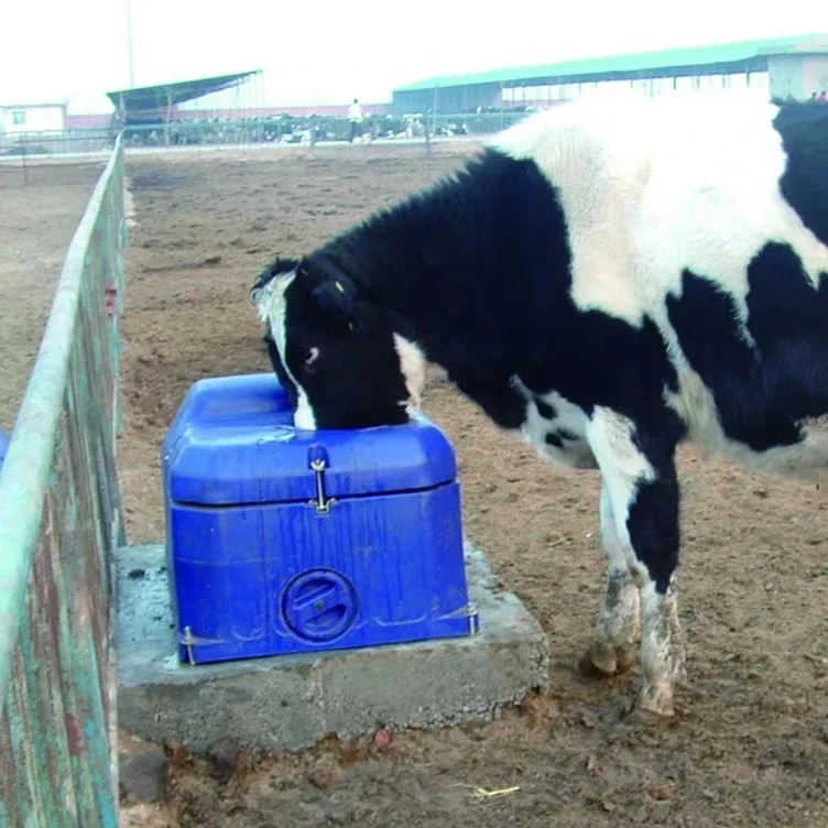 Cow Farm Equipment Livestock Feeder Water Trough Cattle Drinker