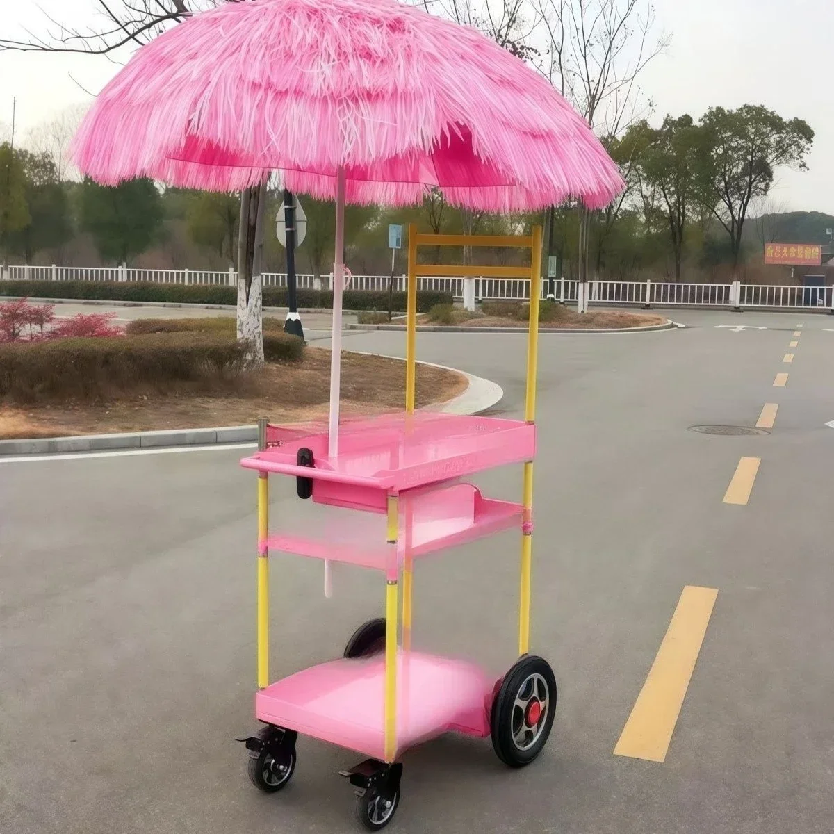 Internet celebrities automatically follow the trolley, automatically follow the trolley Electric remote control trolley