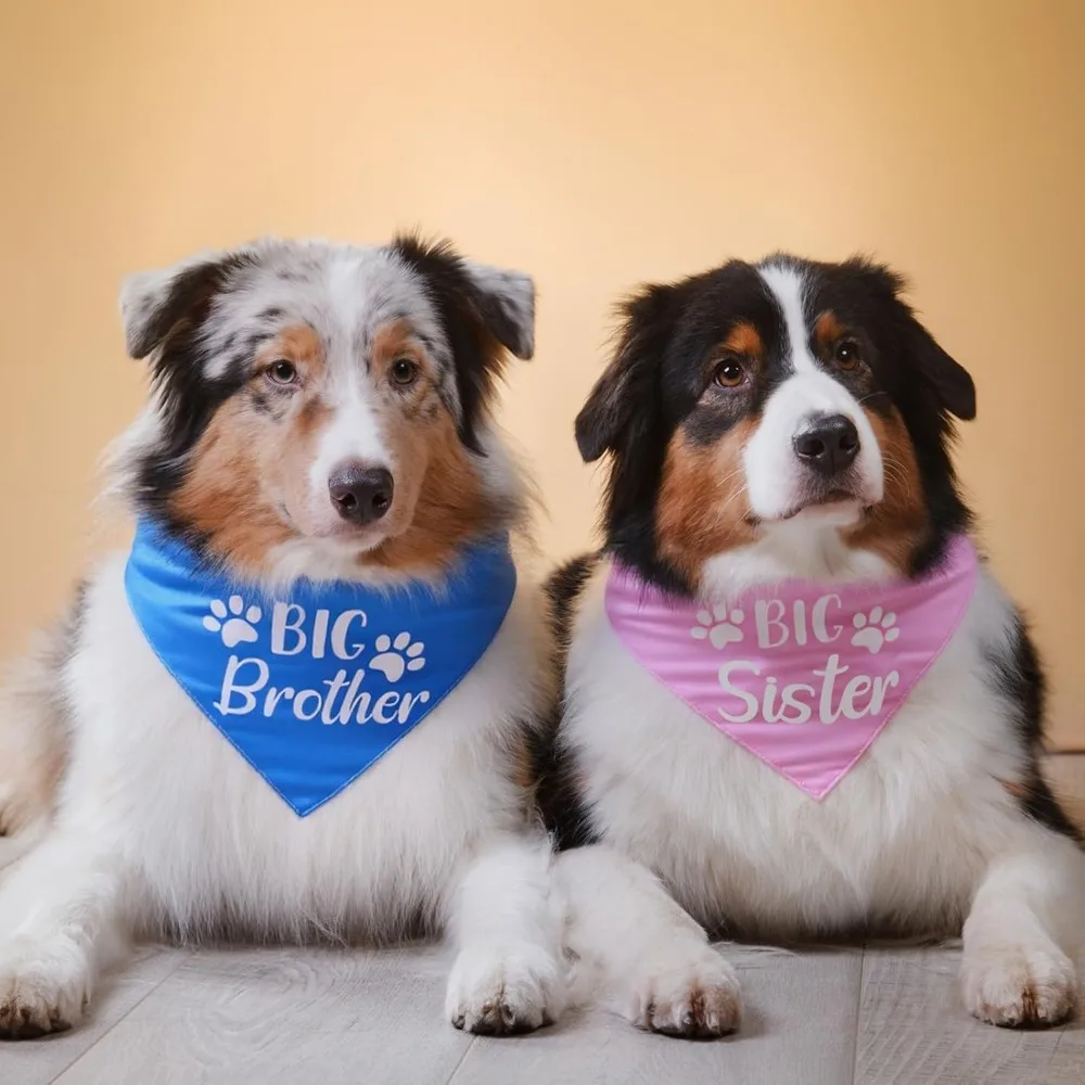 Pregnancy Announcement Dog Bandanas: Big Brother and Sister Scarves for Small to Medium Dogs view 5