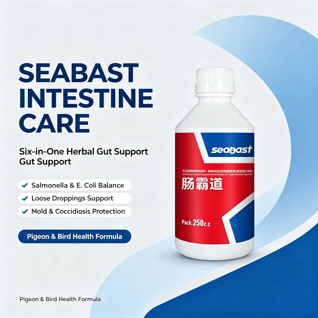 250ml Pigeon Gut Health Supplement Support Against Salmonella & E. Coli, Stop Watery Green Stool, Intestinal Care for Pigeons