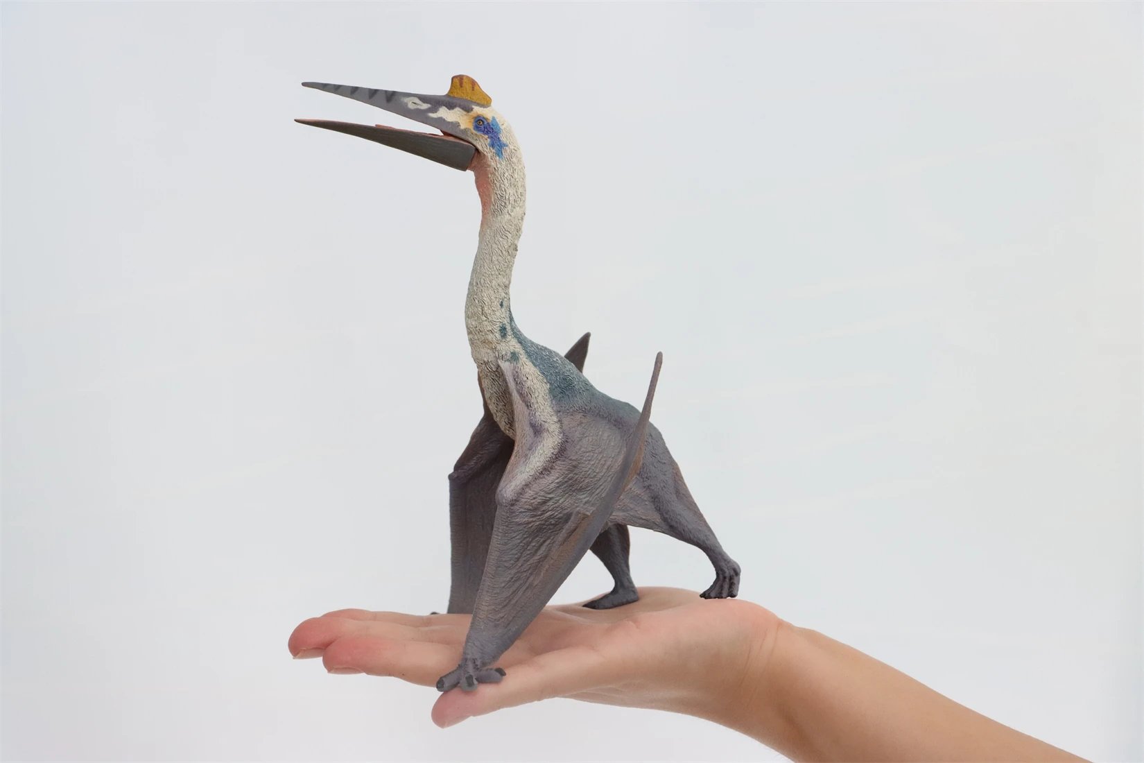 

TNG Quetzalcoatlus Model Pterosauria Cretaceous Dinosaur Animal Collection Decor Educational Birthday Gift