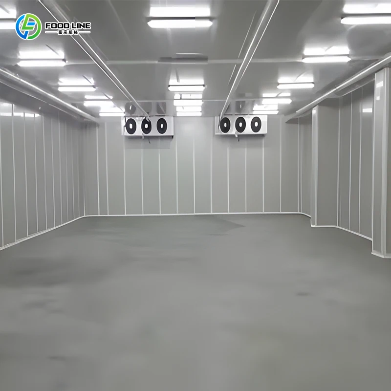 New Cold Storage Walk in Chiller Freezer Cool Room for Fruit Vegetable Quick Cooling Precise Temp Control Fresh Produce Storage
