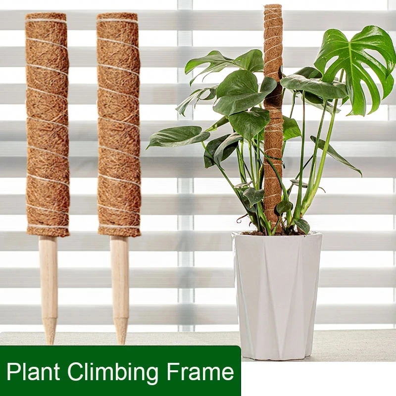 Plant Climbing Frame Vine Coconut Palm Rod Can Be Bent and Shaped Moss Rod Stretching Plants Climbing Poles Plant Growth FU