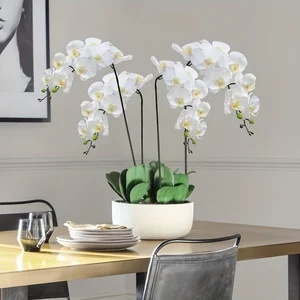 En çok satılan 12 ürün veya ücretsiz kargo fikirleri-no. 11