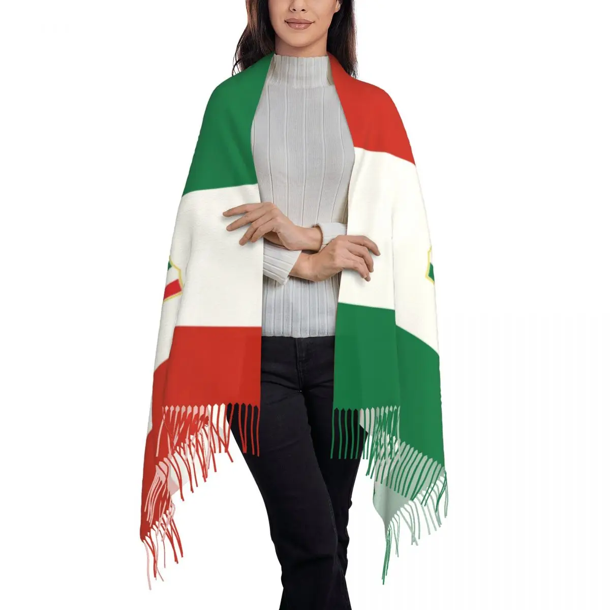 Custom Flag Of Italy Scarf Wrap Women Long Winter Fall Warm Tassel Shawl Unisex Scarves