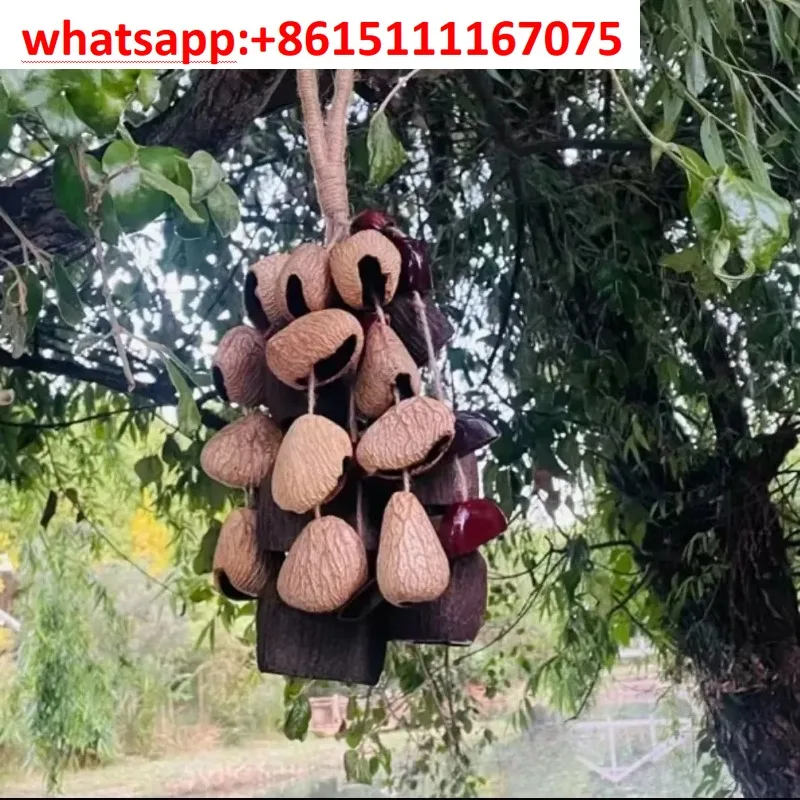 Natural Handmade Seed Nut Shell Wind Chime, Sound Healing Meditation Pendant Wish Fruit Hanging Ornament For Home Decor Yoga