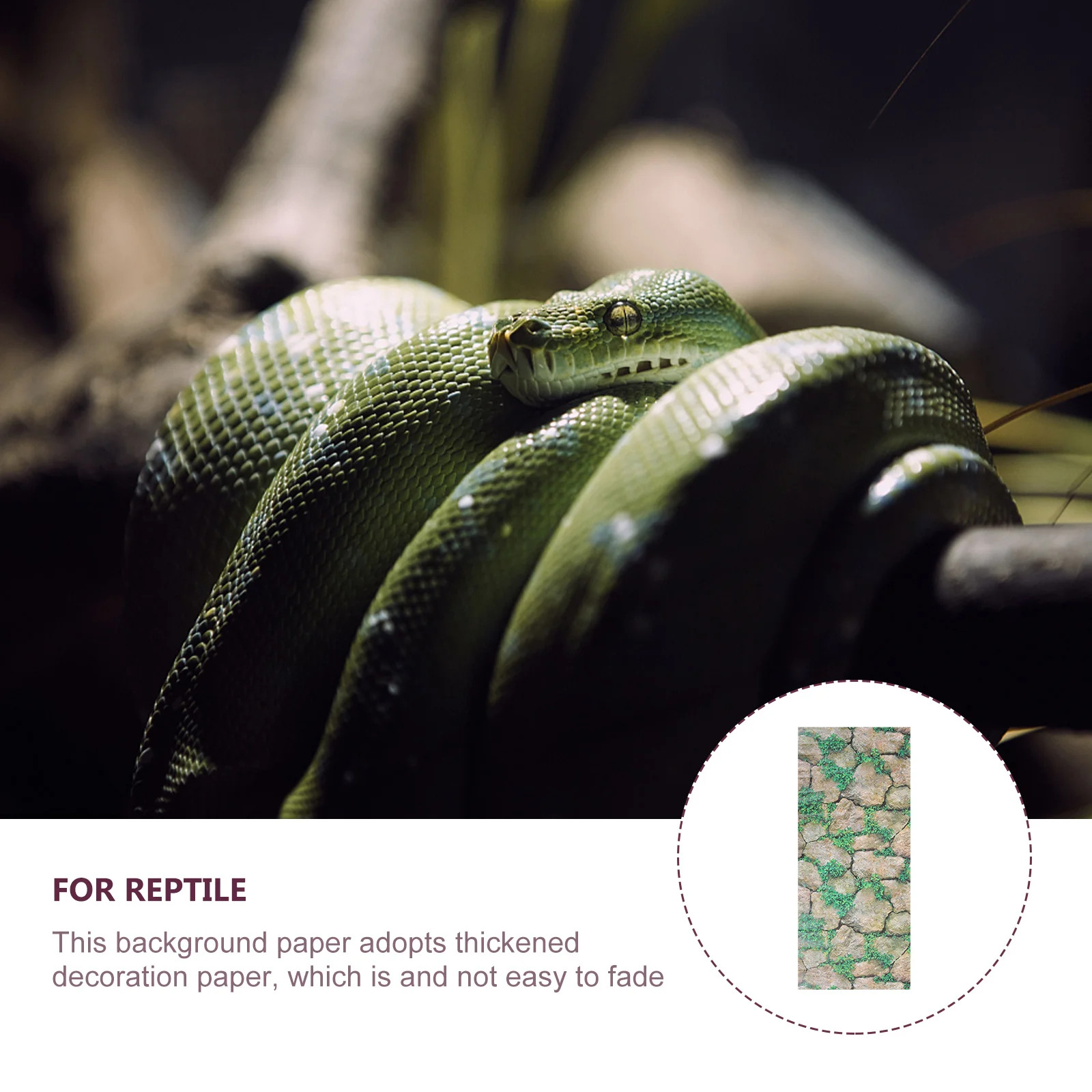 Reptile Tank Background Wallpaper Climbing Pet Paper For Reptile Tank Poster Background Rock Pattern Wallpaper Terrarium Tank