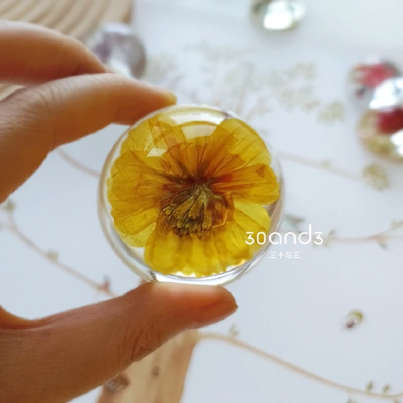 2092 Plant Dried Flower Leaf Specimen Nature Popular Science Desktop Decoration Education Friend Birthday Gift Drip Glue Crystal