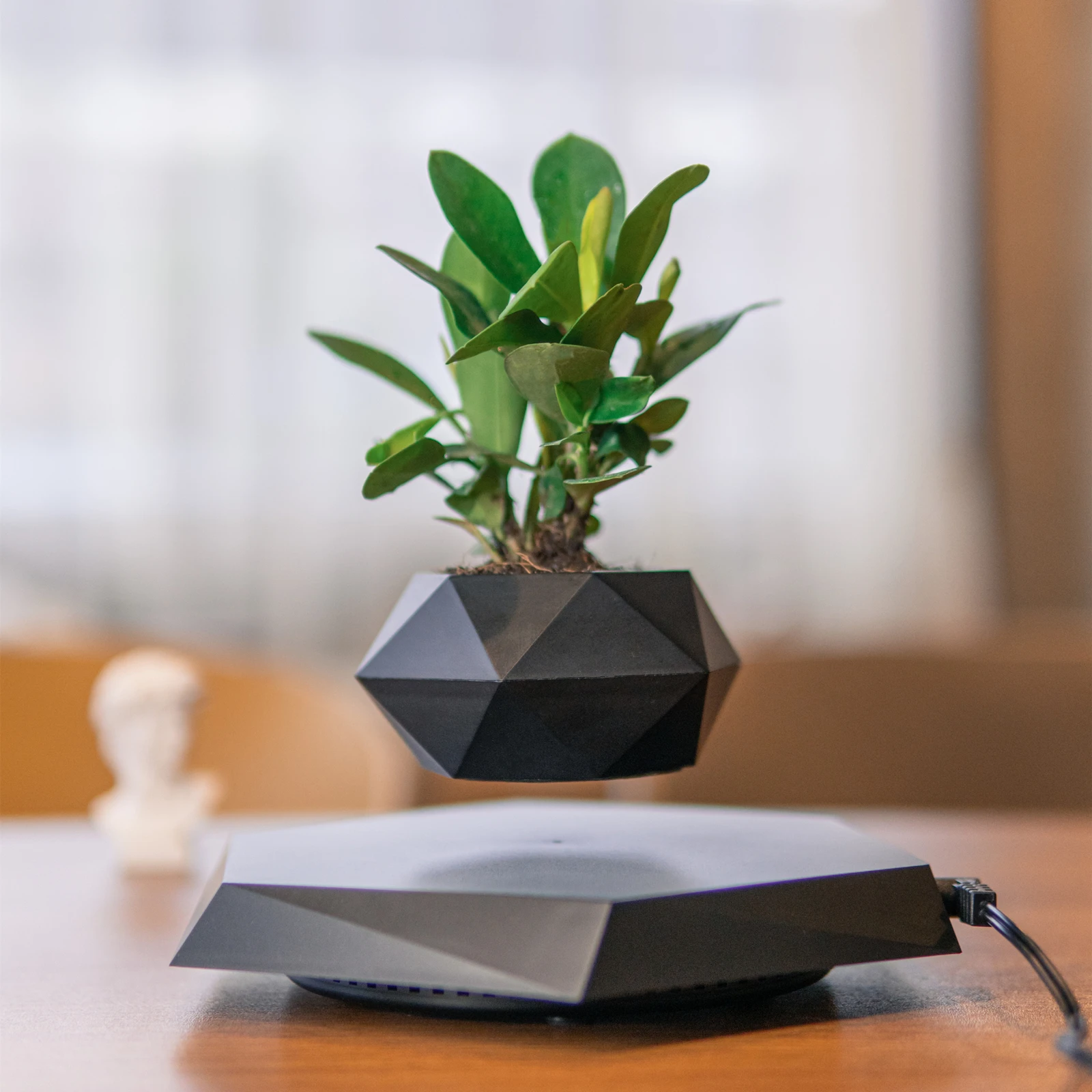 

Wood Design Magnetic Levitating Plant Pot Fashion Floating Pot Black Style Bonsai Home Decoration Personalized Gift