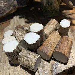 Deer Antler High-density Small Section Middle Section Carving Material for Hand Training Knife Handle Handicraft Bead Material