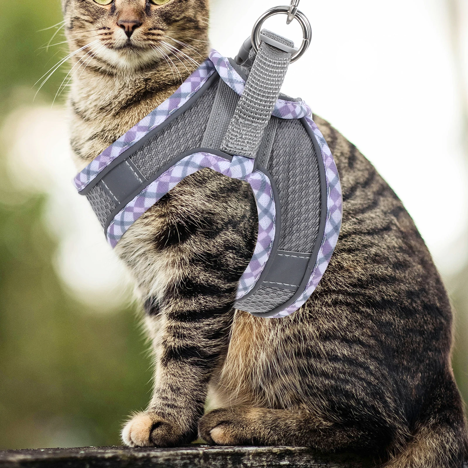 

1Set Adjustable Kitten Harness Small Cat Vest Lightweight Wear Resistant Pet Cat Harness Outdoor Leash Walking Accessory