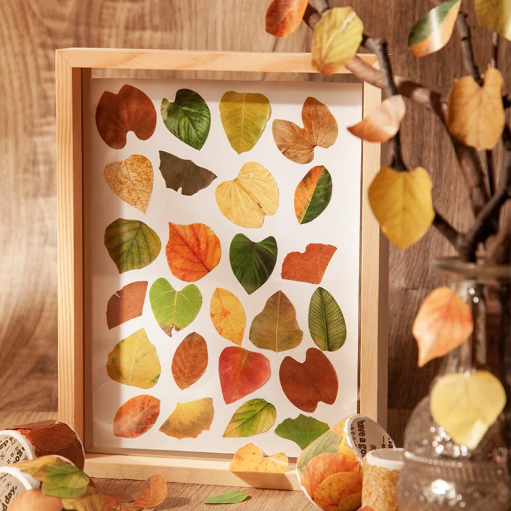 

Label Decorative Fallen Leaves Tape Aesthetic Plants Decorative Stickers Vintage Autumn Adhesive Tape Crafts