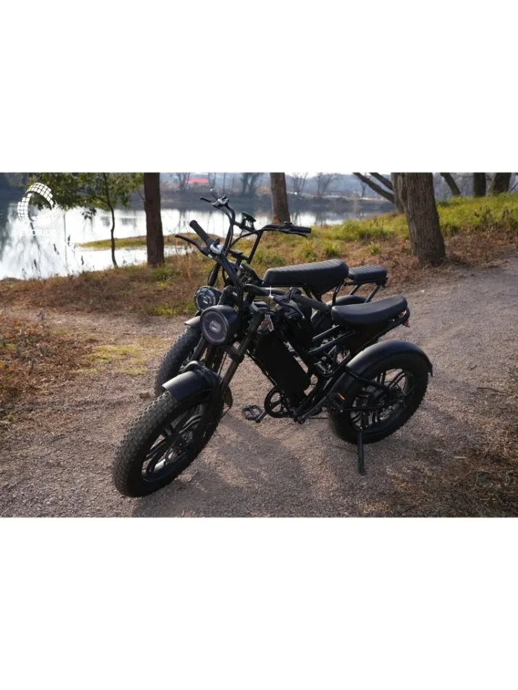 AliExpress YTYIN Electric Bicycle 750W Electric Dirt Bike 20ah E Bikes V10 Electric Bike Adult  Mountain Bike All-terrain Electric Bicycle