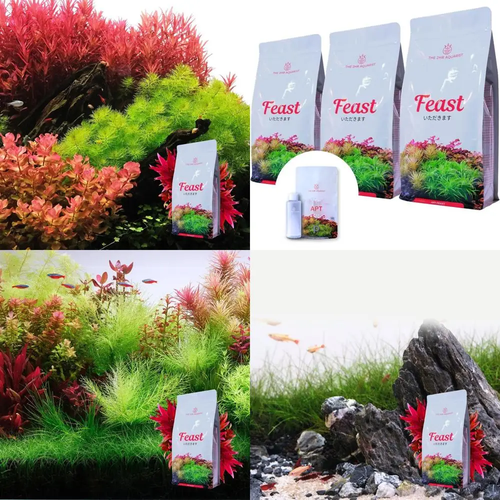 2HR Aquarist Apt Fe…