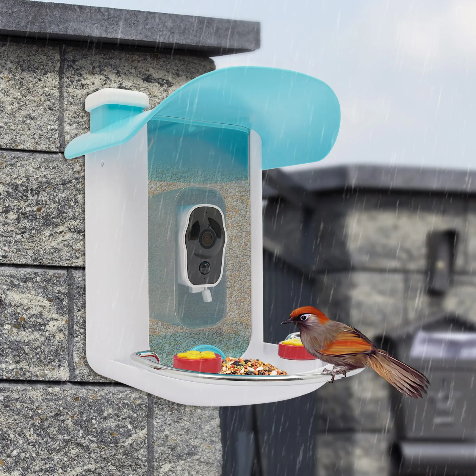 Smart Bird Feeder with Camera for Gardens and Parks
