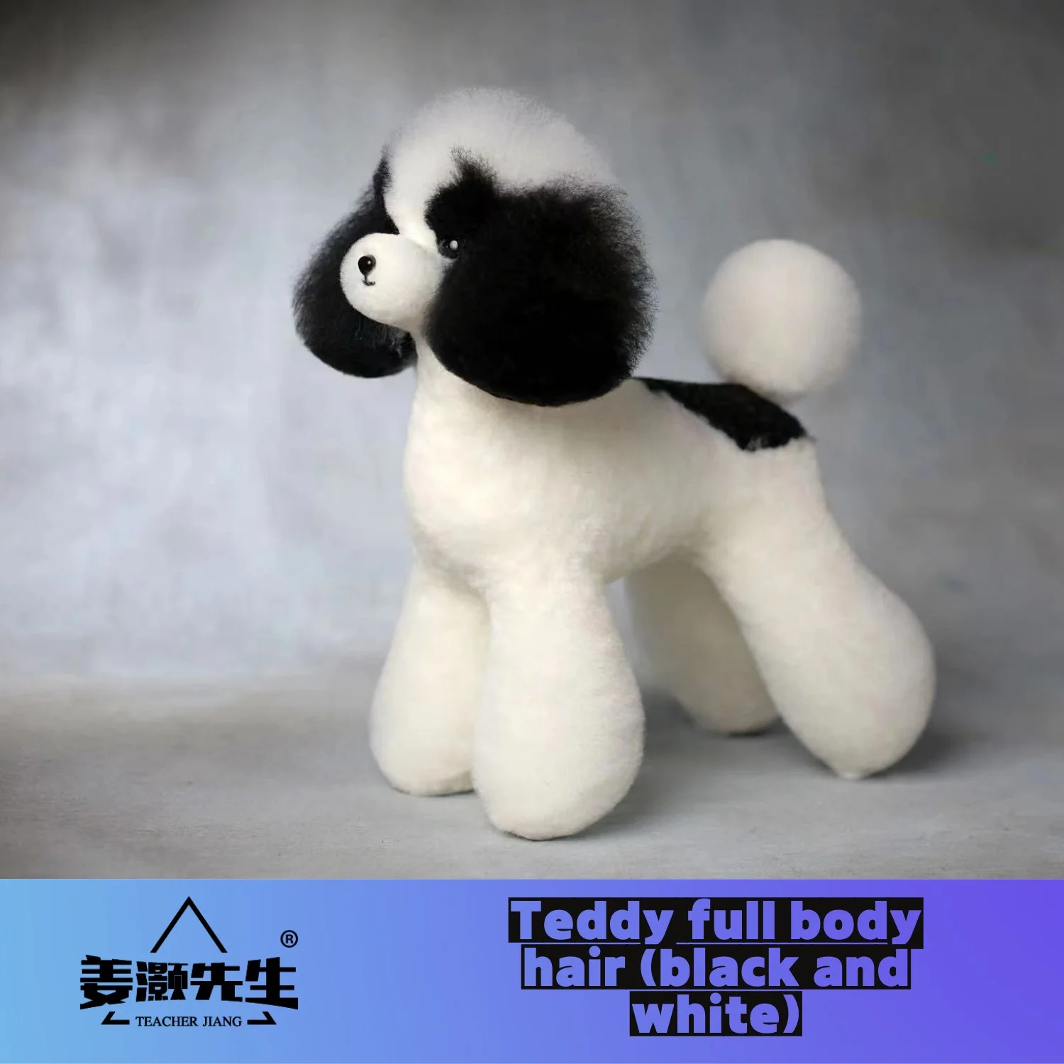 Mr.Jiang Teddy huagui  Pet Teacher Beauty Modeling Practice Dog Model Standard Skeleton Model Dog Whole Body Fake Hair