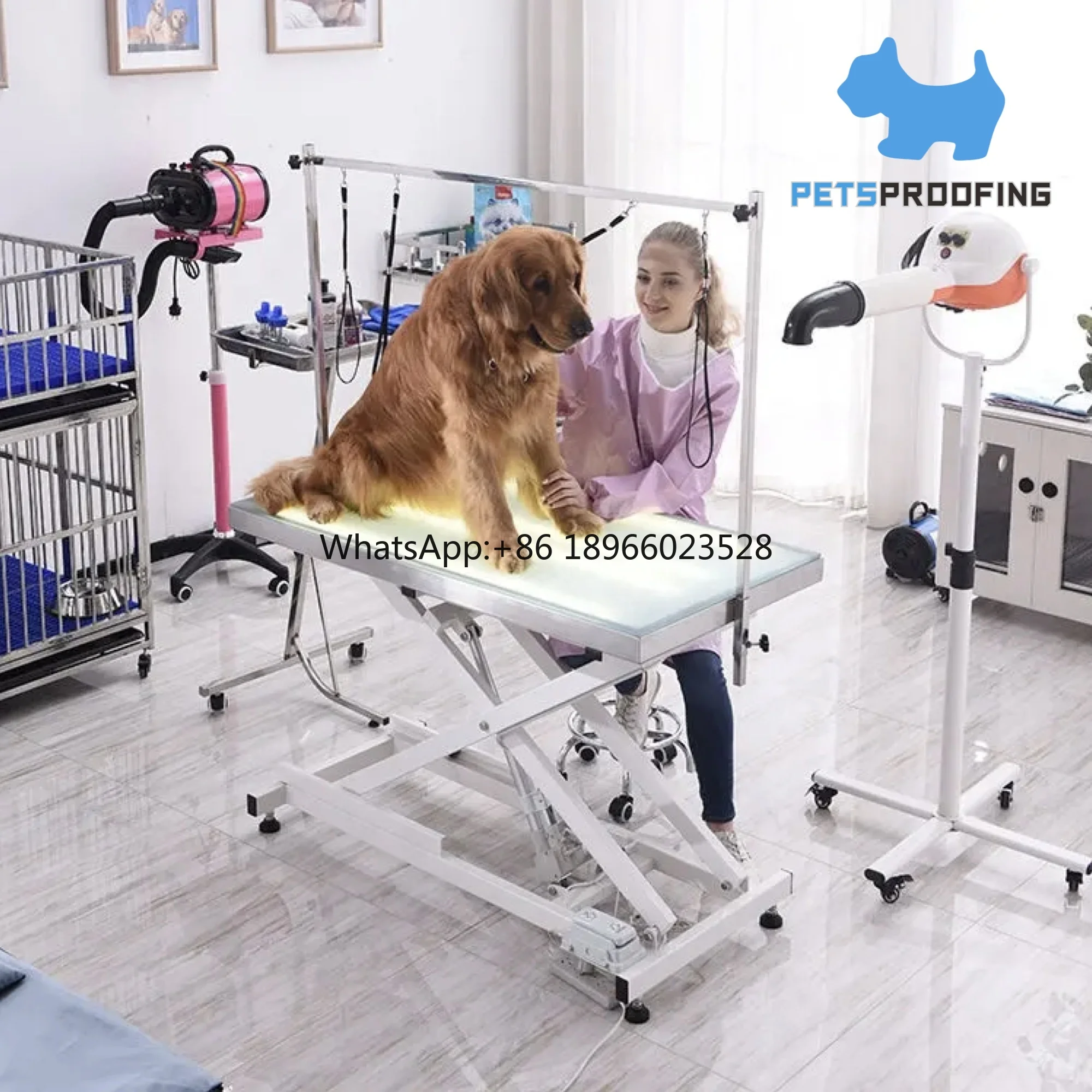 

Pet Supplies Electric led light lifting Adjustable height hydraulic foldable Large lighted dog pet grooming lift table for dogs