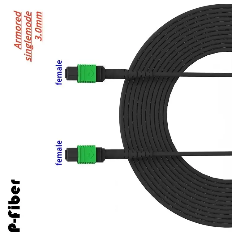 MPO APC سترة من الألياف المدرعة 12 النوى أحادية الوضع أنثى-أنثى نوع B A 5m 10m30m 50m MTP الألياف الضوئية المرقعة في الهواء الطلق SM 12C