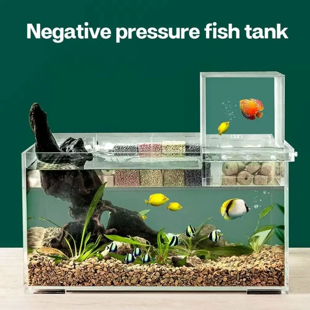 

Landscaping Negative Pressure Fish Tank Easy to Install Eye-catching Acrylic Suspended Fish Tank Unique