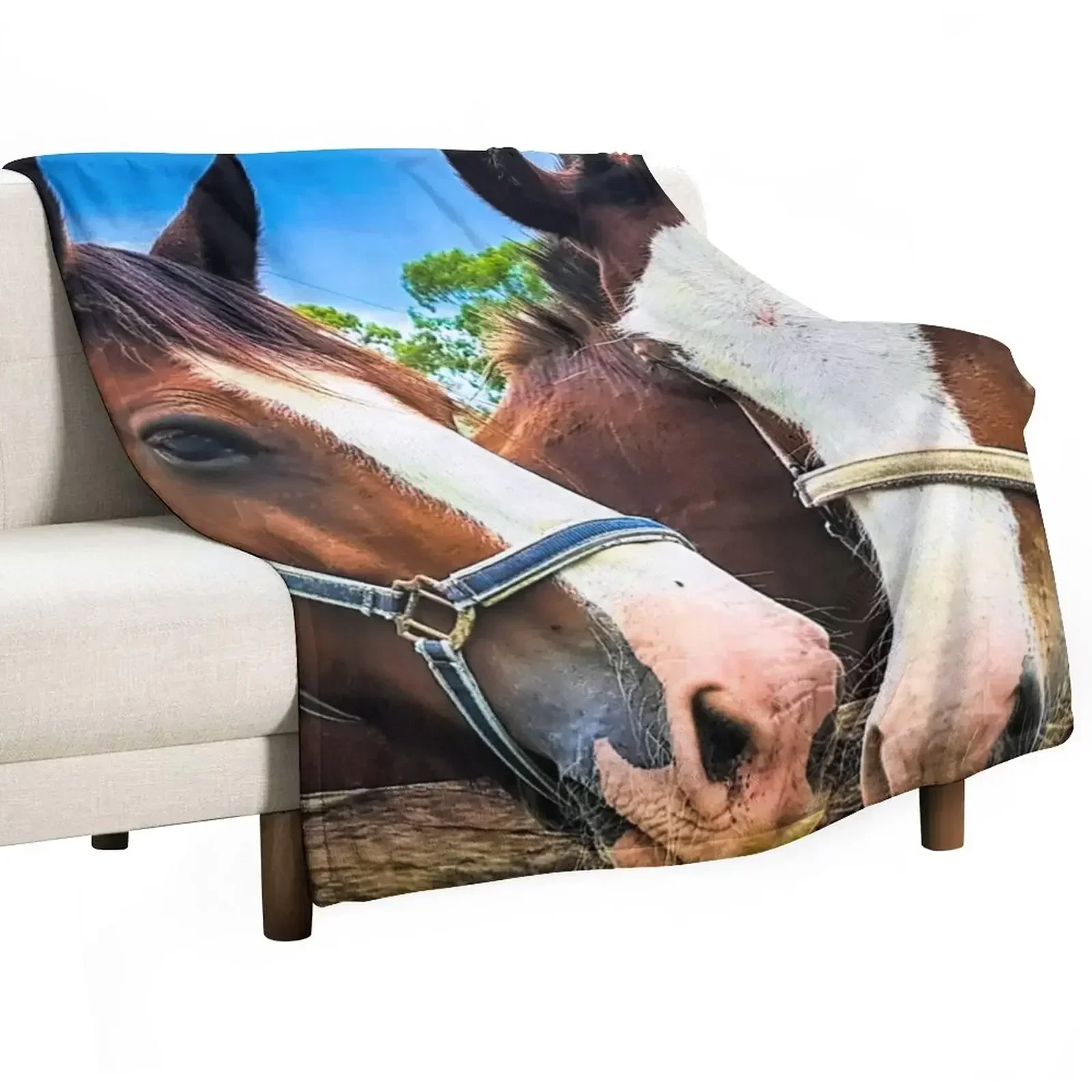 

Clydesdales Posing Throw Blanket For Decorative Sofa Kid'S Blankets