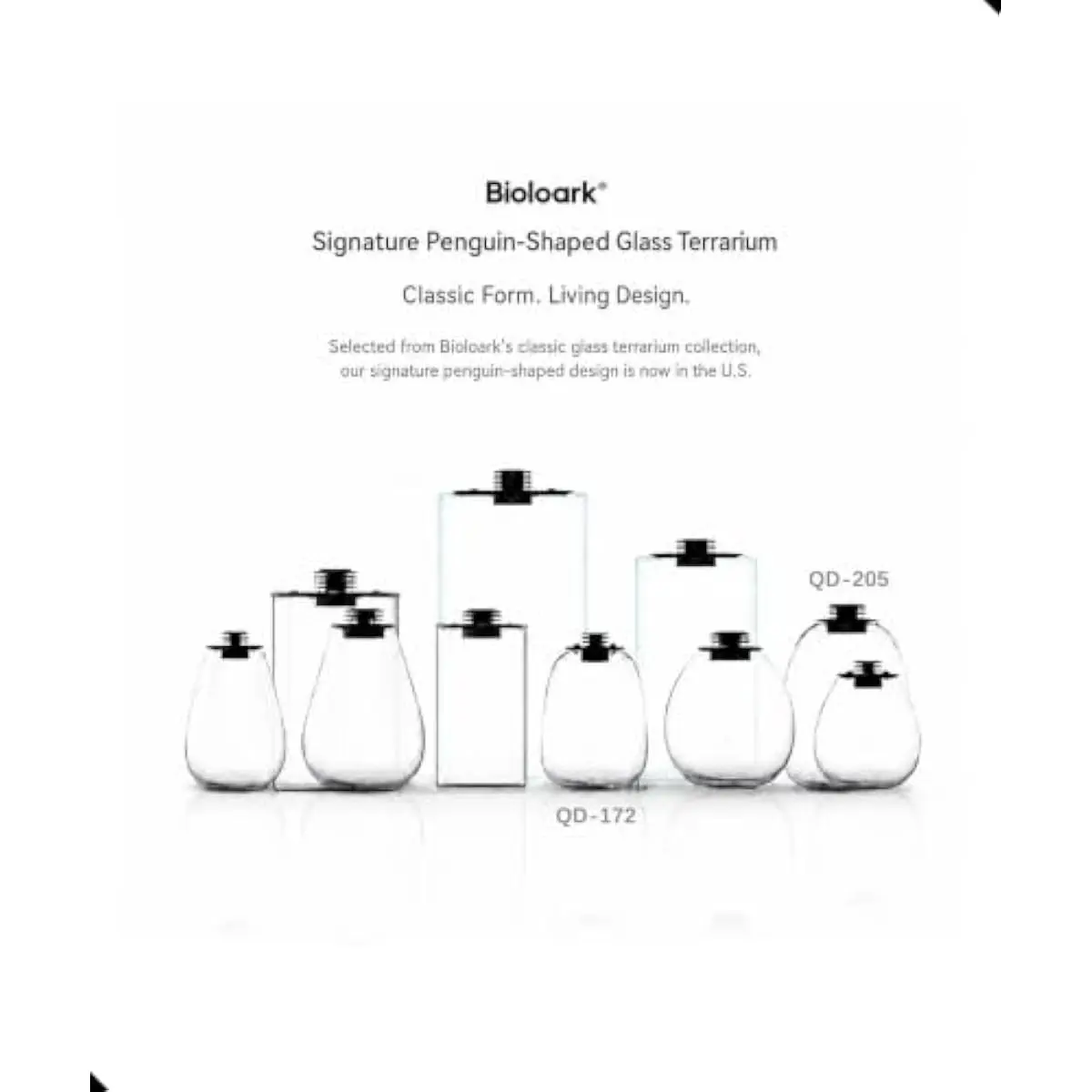 Round Bio Bottle Terrarium with Adjustable Ventilation System, USB-Powered LED Grow Light, Low-Iron Glass Construction, 6.89 X 6