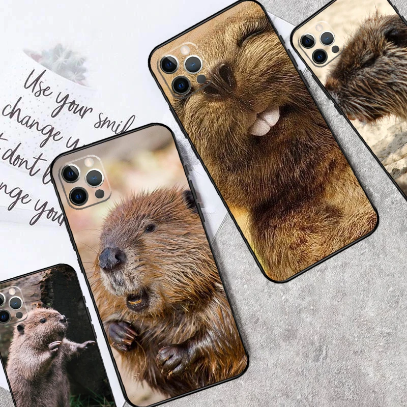 Animal Beaver Case …
