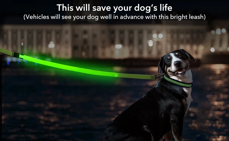 Led Haustier Hund Leine Seil Mit Licht Leuchtende Leine USB Lade für Hund Sicherheit Blinkende Leuchtende Kragen Harness Zubehör – Detail 4
