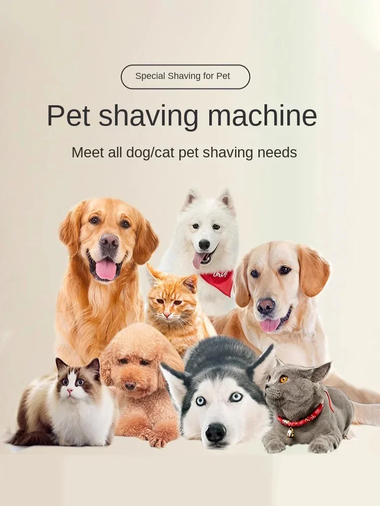 Haustier Rasierer Hund elektrische Schubs chere