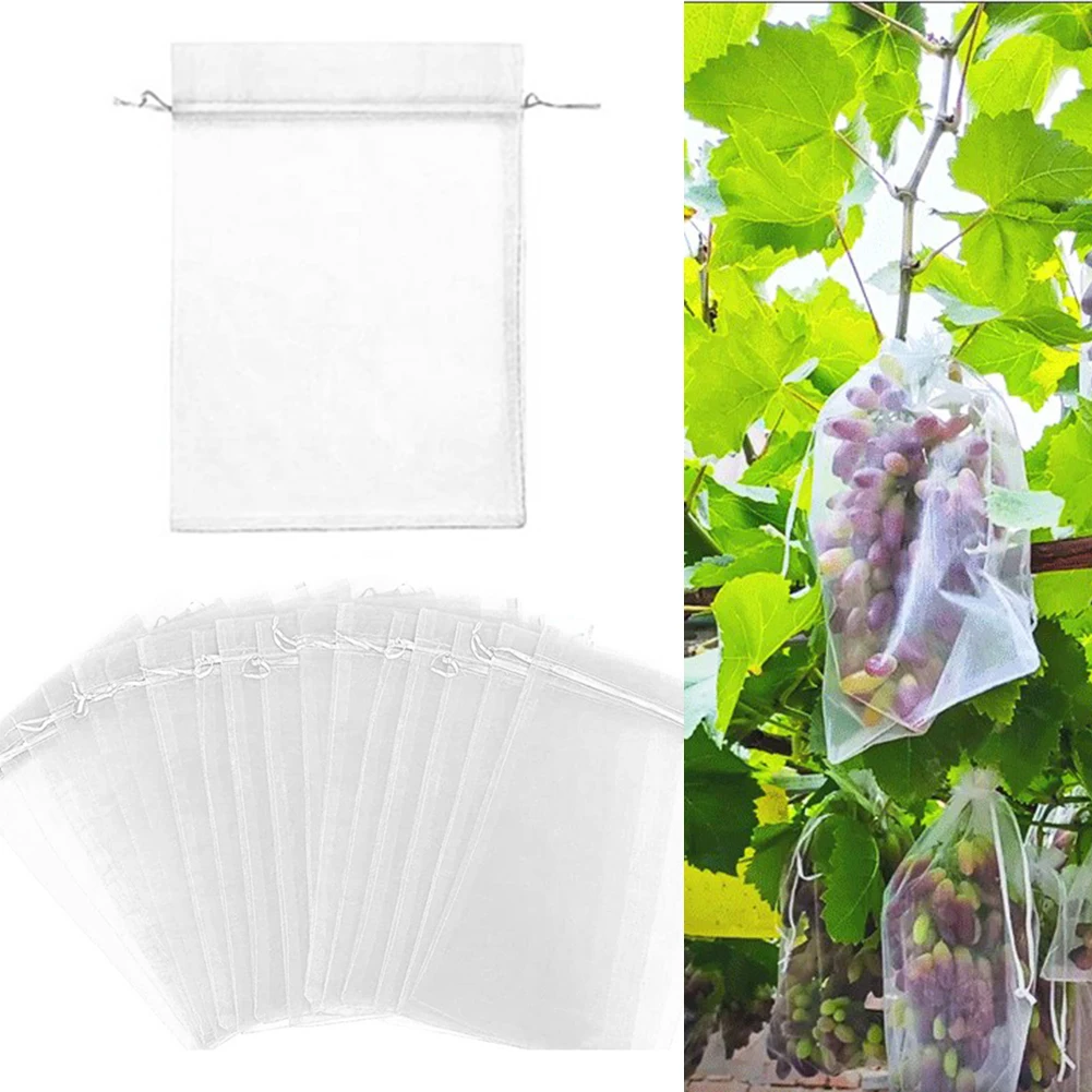 

Effective Barrier Drawstring Barrier Drawstring Butterflies See Through Number Of Pieces Organza Package Content