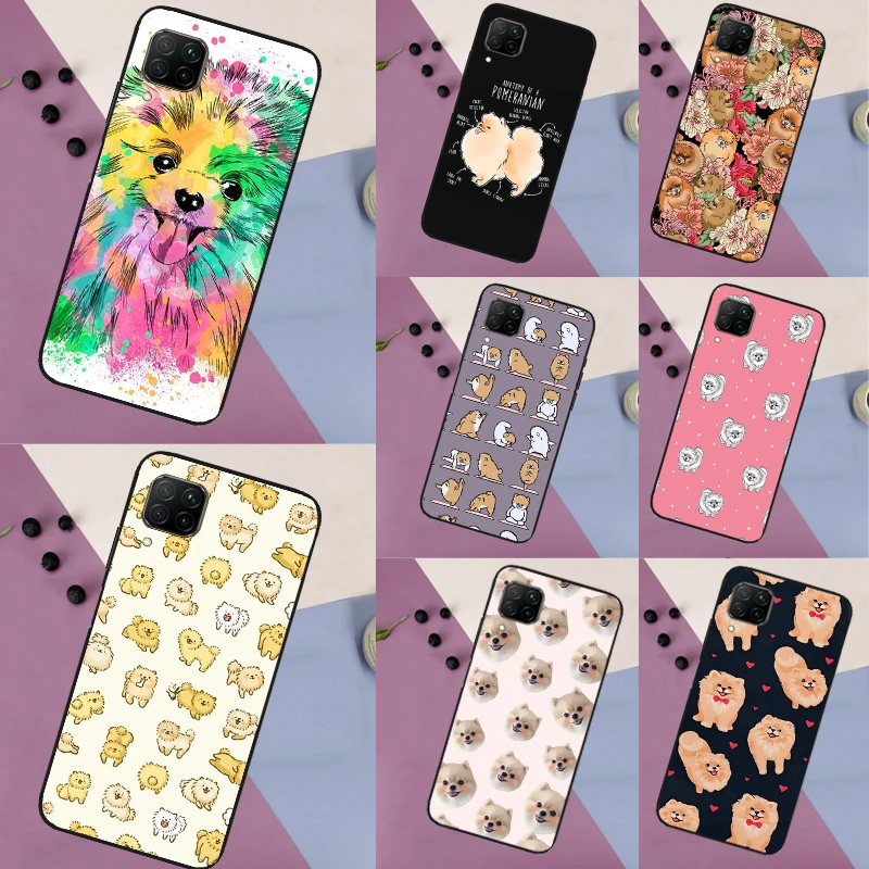 Pomeranian Dog For … - image