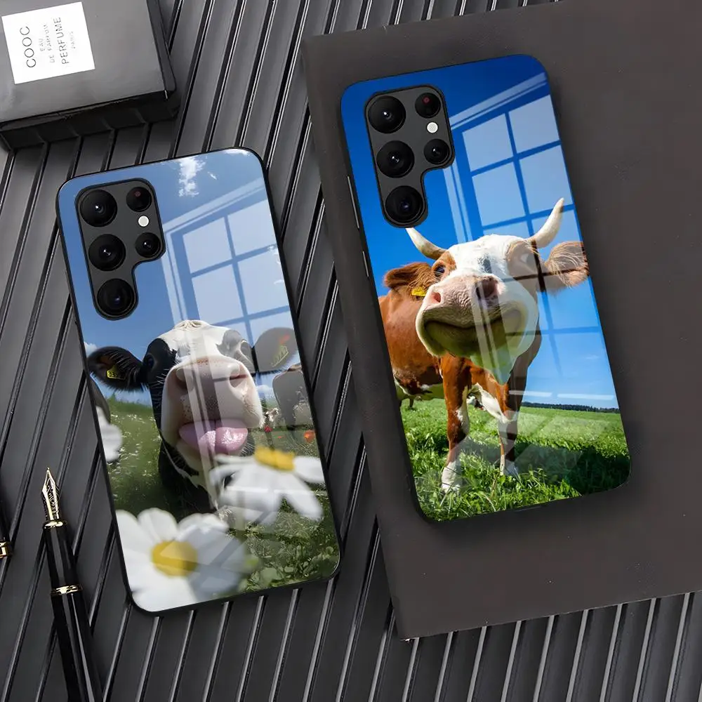 Lovely Cute Cow Phone Case For Samsung A27 A37 A33 5G A54 A36 A35 A56 A52 A17 Shockproof Glass Cover