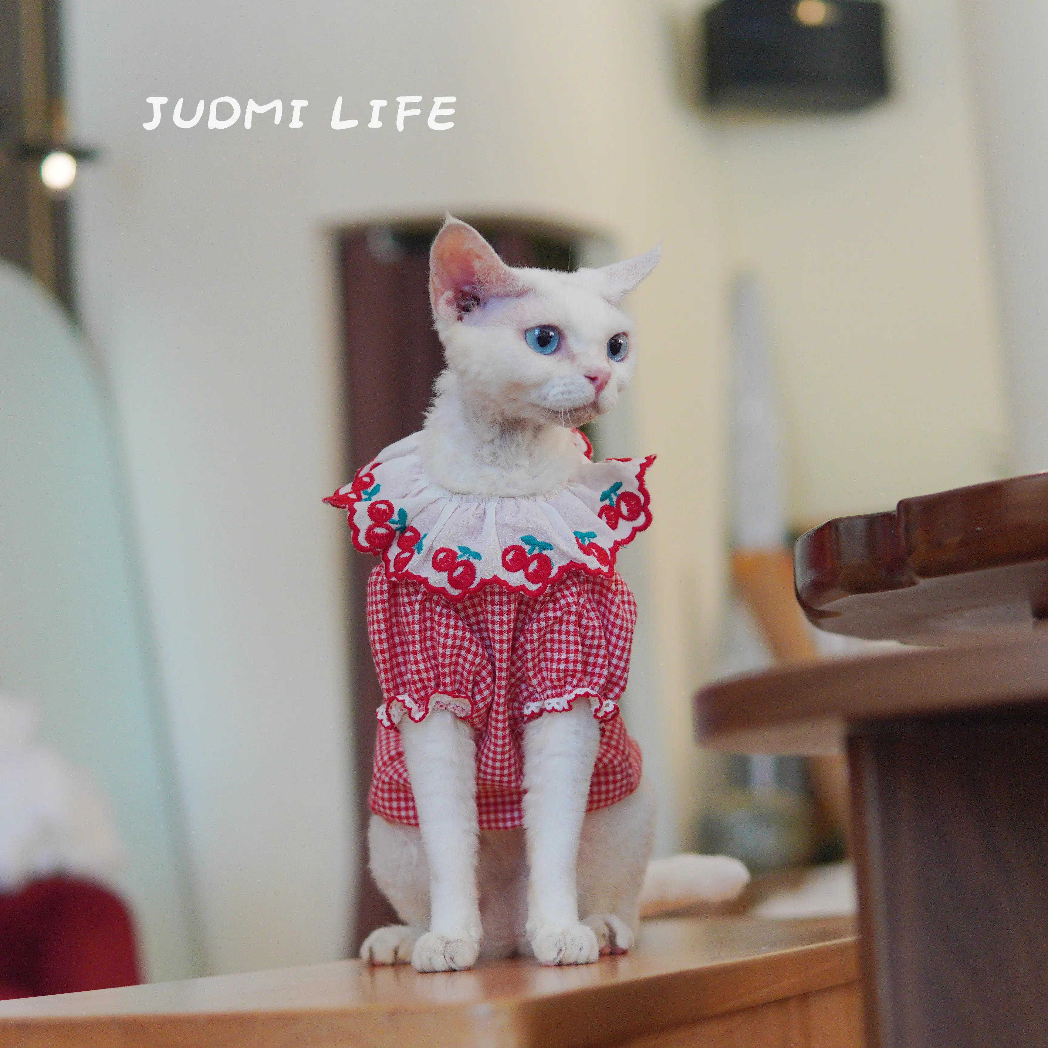 Pink Cotton Vest for Female Cat Summer Strawberry Skirt for Hairless Cat Sweet Colorful Country style Thin Dress for Sphynx