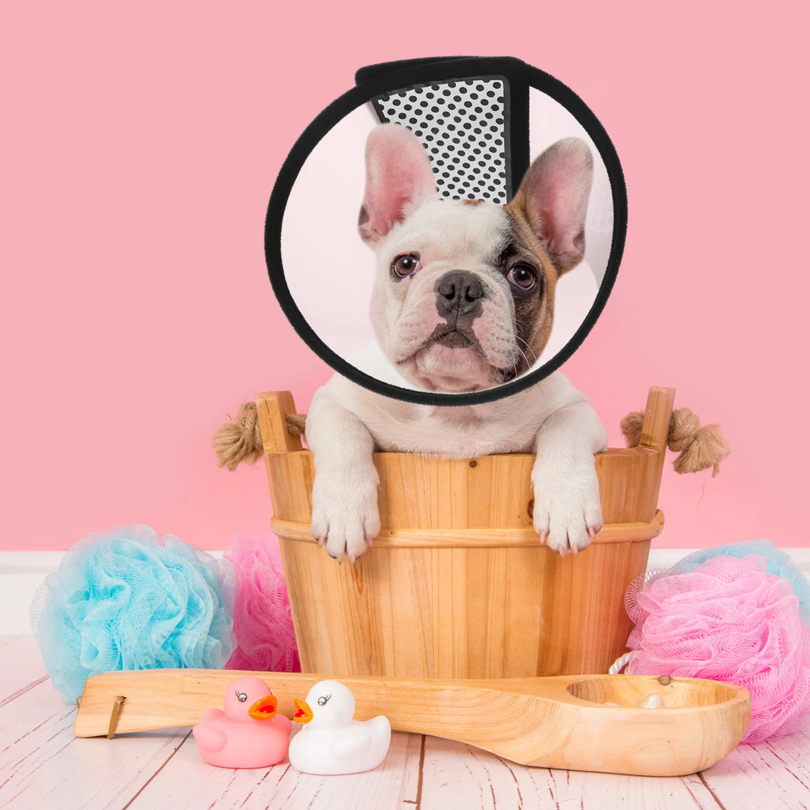 

Dog Cat Recovery Protective Cone Wounds Post Surgery Adjustable Washable Licking Anti-Bite Collar For Small Medium
