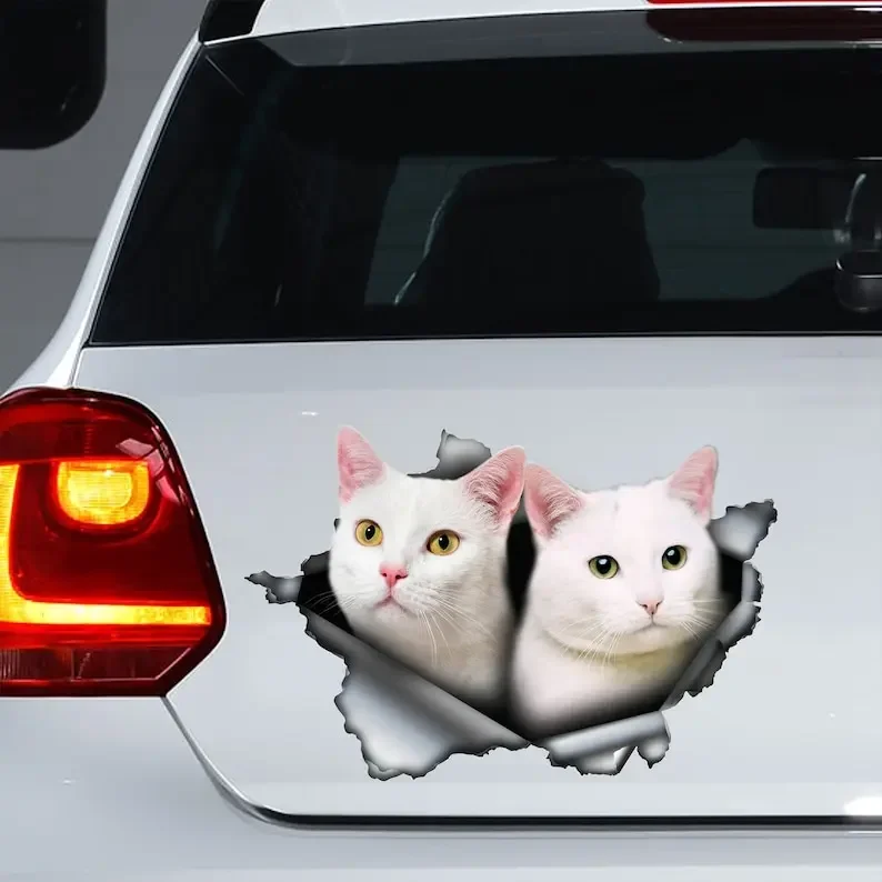

White cats car decal , cat magnet, white cat sticker