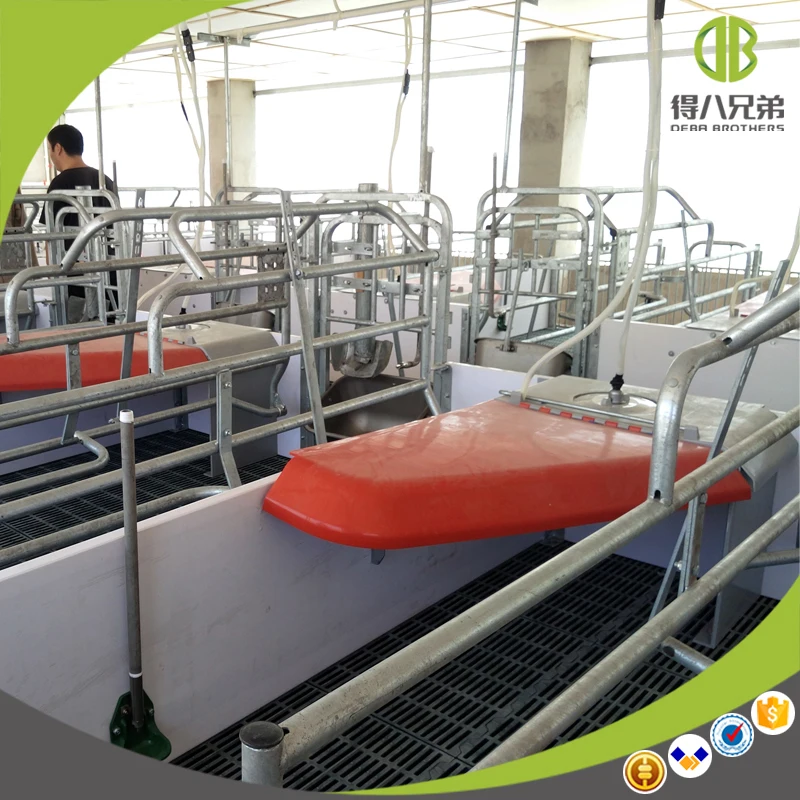 Caisse de lancer de cochon classique, offre spéciale