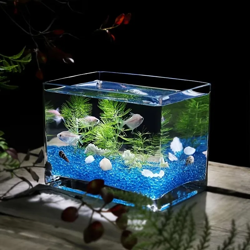 Rectangular Glass Fish Tank   a Desktop Home Decor Item   Miniature Landscape Aquarium  Hand-blown Glass Fish Tank