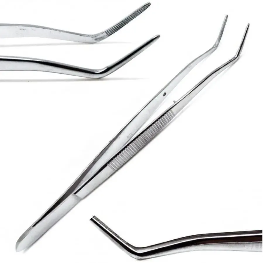10 or 20 Piece Stainless Steel Dental Cotton Pliers Reusable Filling Clip Nippers for Dentist Orthodontic Tools