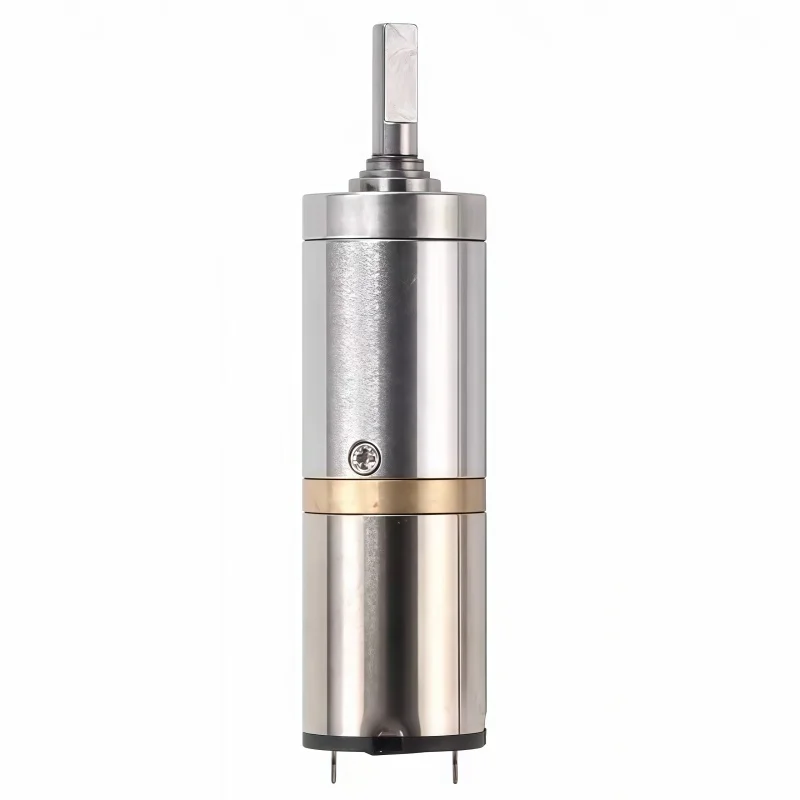 Hollow Cup Motor 12mm Planetary Reduction 12V Fingerprint Lock Beauty Instrument Miniature DC Motor