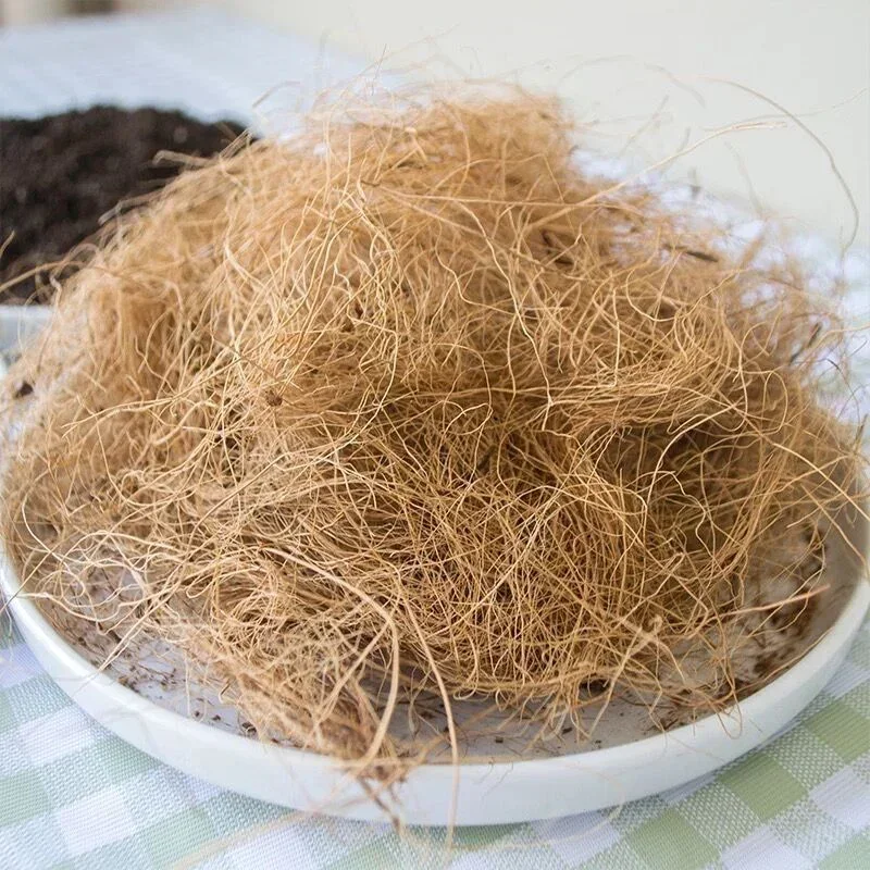 Copertura del vaso di fiori in fibra di buccia di cocco naturale a prova di insetto proteggi il terreno della pianta del fiore del giardino mantieni