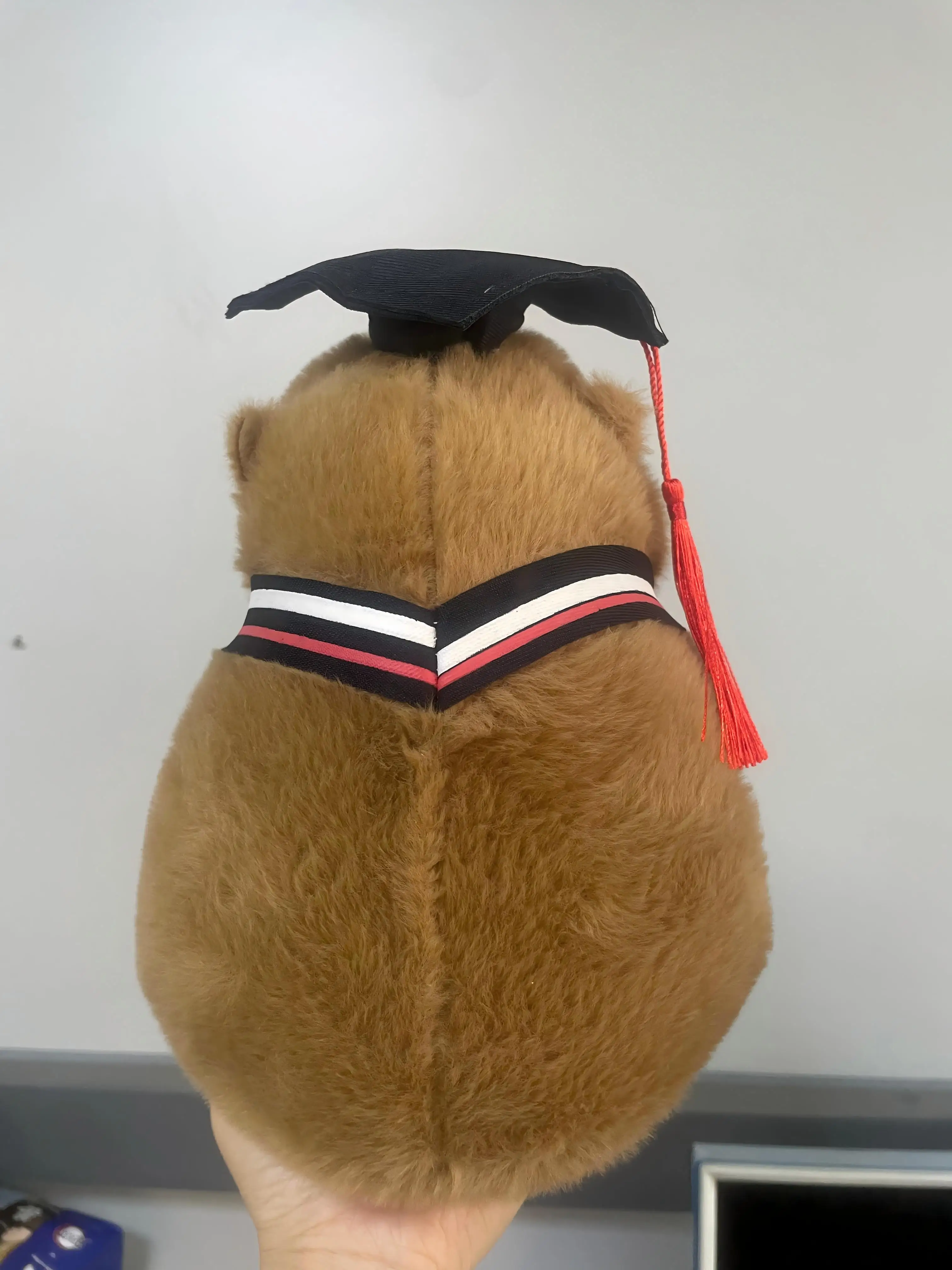 23 cm Abschluss-Capybara-Plüschpuppe, Stofftier, Doktormütze, Abschluss-Plüschtier, Abschlussgeschenk für Studenten